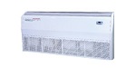Aeronik